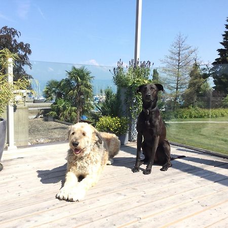 Lakelodge Romanshorn Ngoại thất bức ảnh